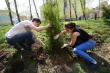 Одиннадцатый сезон программы «Миллион деревьев» стартовала в Москве